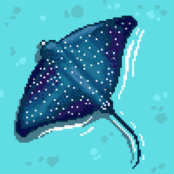 Ray