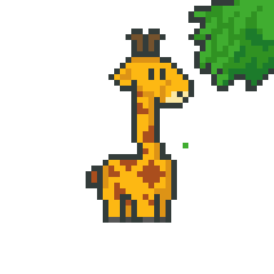 Giraffe eating